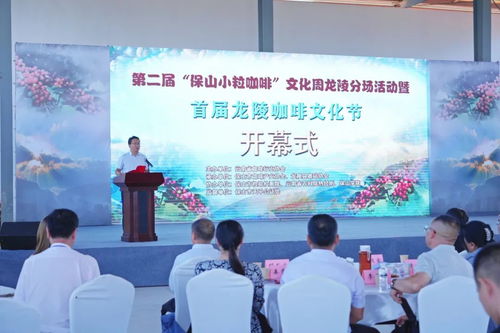 第二屆保山小粒咖啡文化周龍陵分場(chǎng)活動(dòng)暨首屆龍陵咖啡文化節(jié)隆重開幕，文化藝術(shù)交流共促咖啡產(chǎn)業(yè)發(fā)展